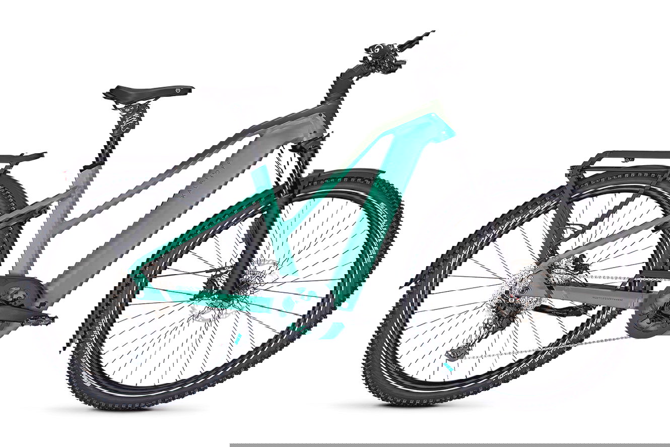 Kalkhoff ENTICE 5+ EXCITE ABS Trapez mineralgreen / huntsmengreen matt, 48 cm | M | (29")