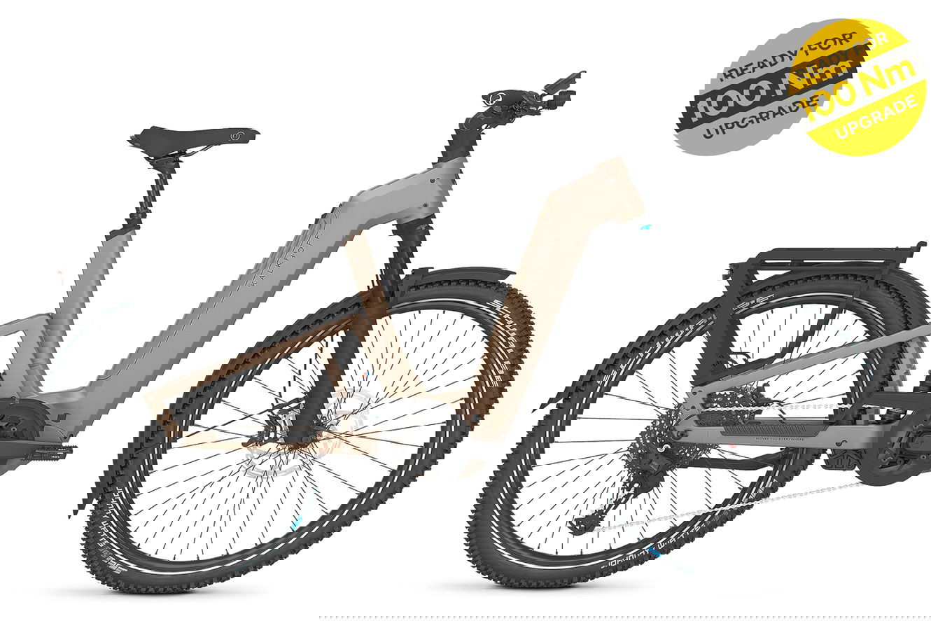 Kalkhoff ENTICE 7+ ADVANCE Wave moonstonegrey matt, 55 cm | L | (27,5")