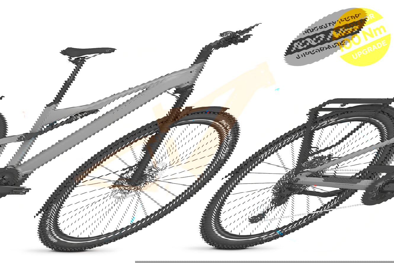 Kalkhoff ENTICE 7+ EXCITE ABS Diamant moonstonegrey matt, 50 cm | L | (29")