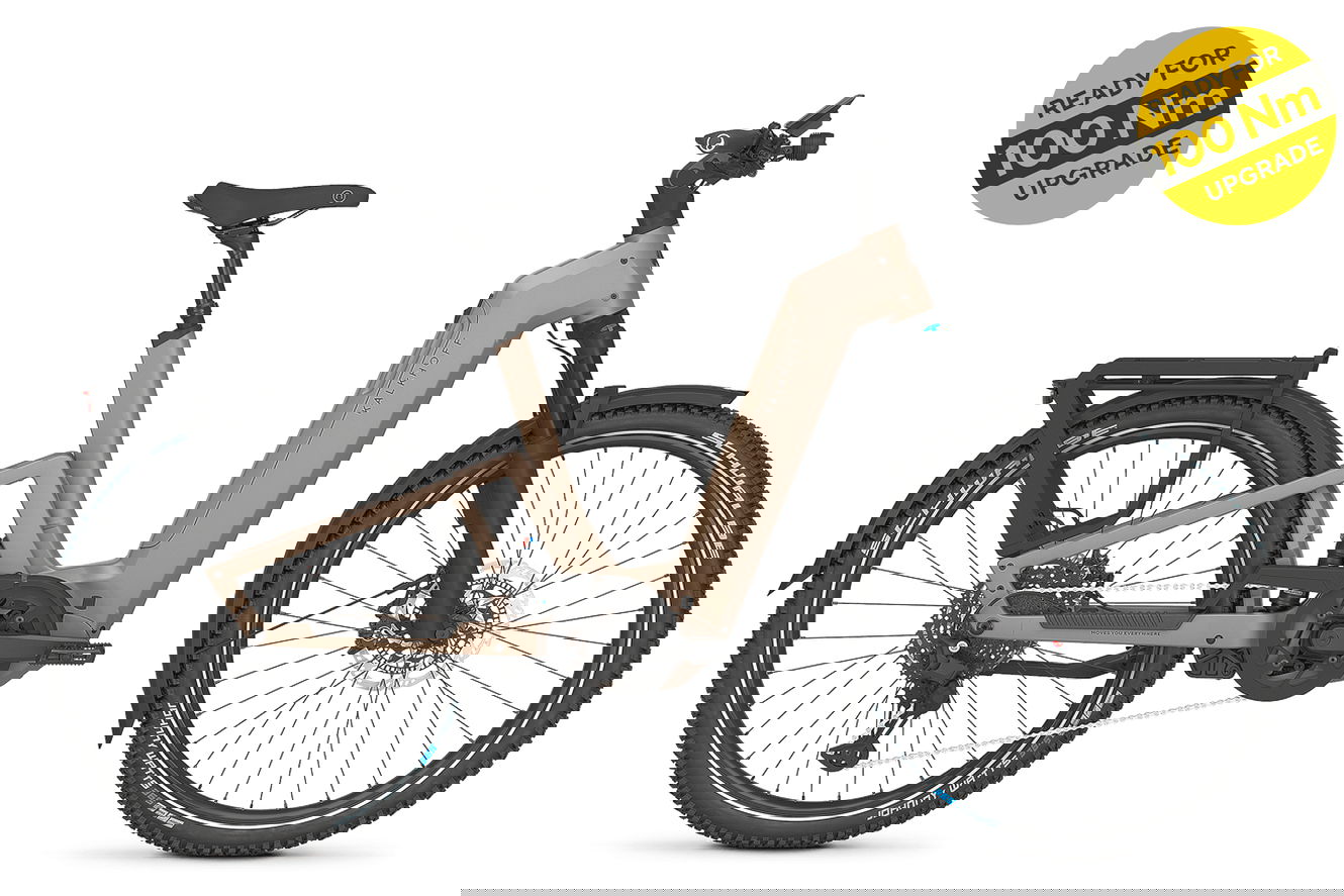 Kalkhoff ENTICE 7+ EXCITE ABS Wave moonstonegrey matt, 45 cm | S | (27,5")