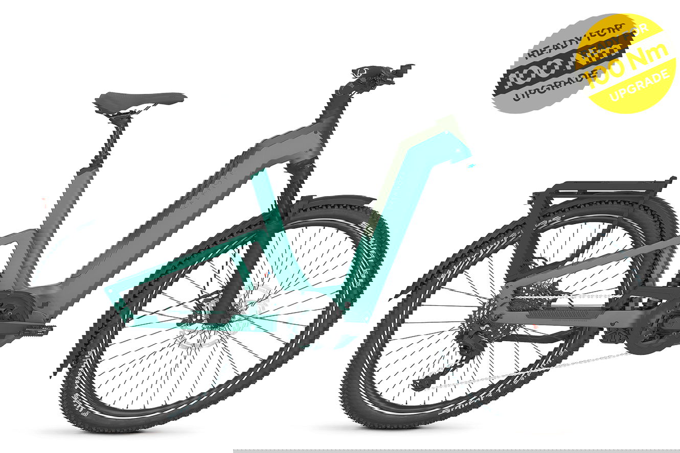 Kalkhoff ENTICE 7+ MOVE Wave mineralgreen / huntsmengreen matt, 45 cm | S | (27,5")