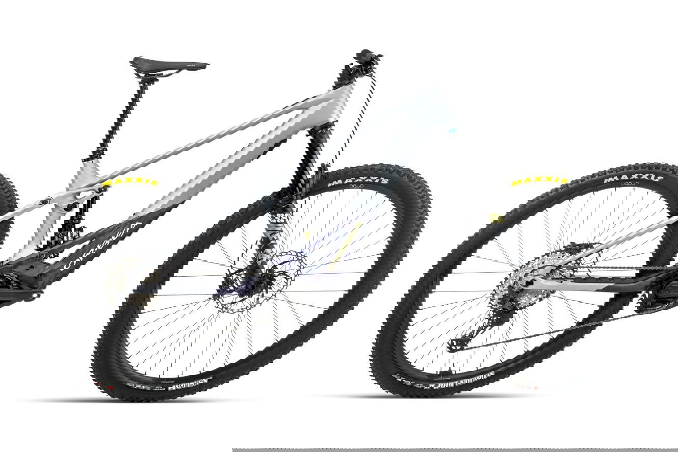 Orbea WILD M10 Diamant halo silver-tanzanite carbon view (matt), L | (29")