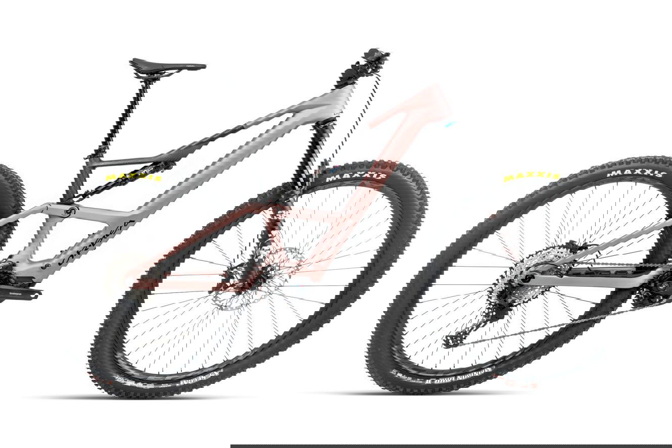Orbea RISE LT M20 420W Diamant desert rose - carbon raw (matt), S | (29")