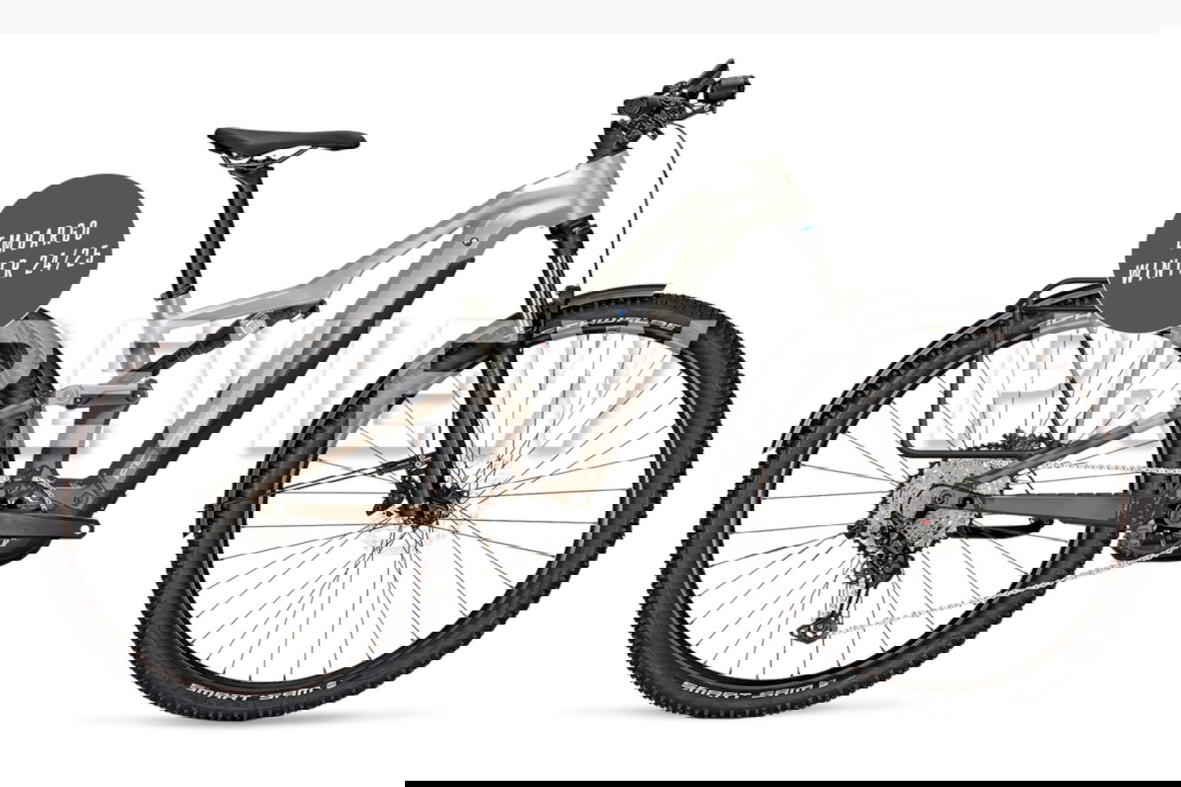 Focus THRON² 6.8 EQP ABS 800 Diamant adamantsilver / platinumbronze, 42 cm | M | (29"")