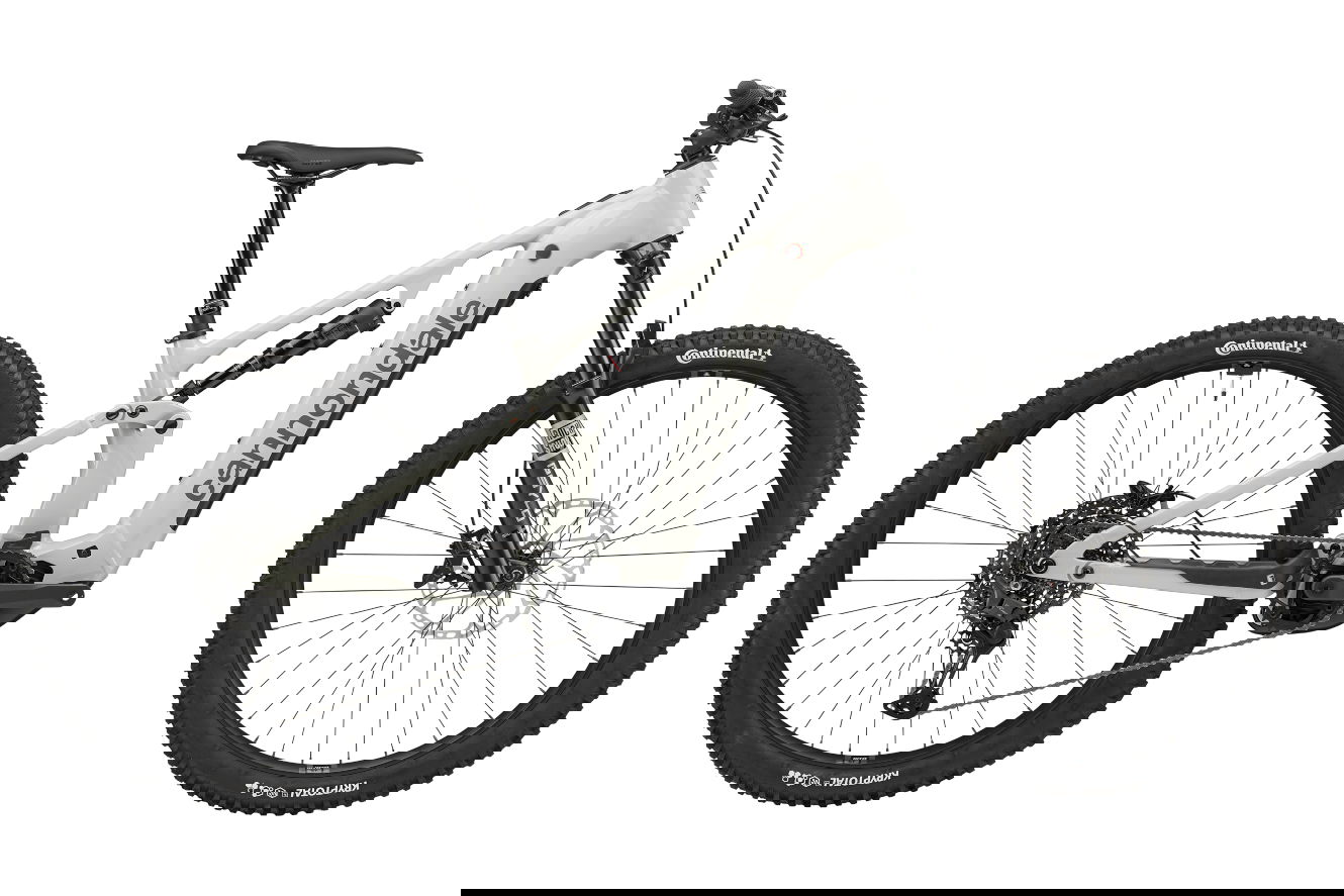 Cannondale Moterra 3 Diamant chalk, LG | (29")