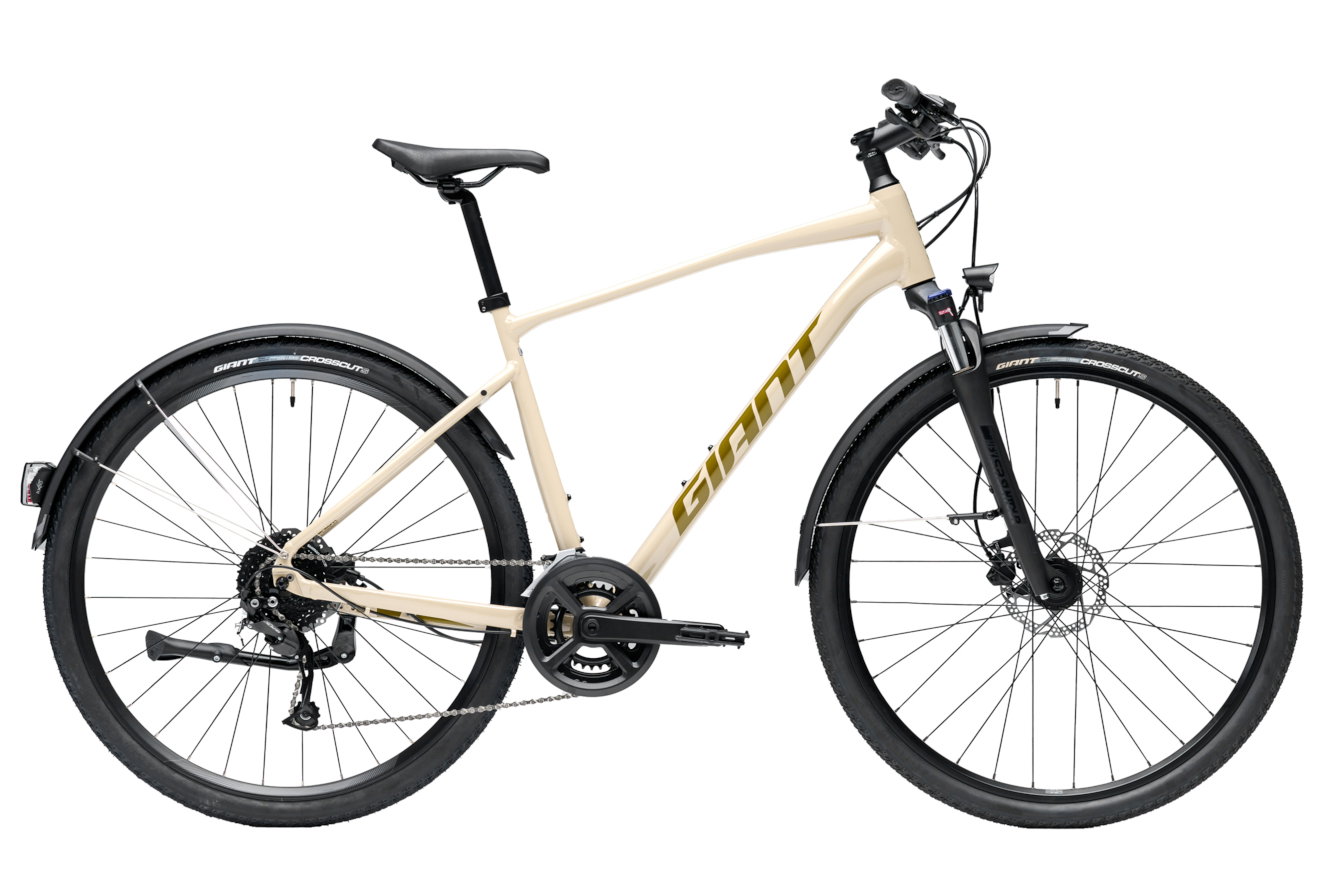 GIANT Roam EX | V2 Diamant almond, L | (28")