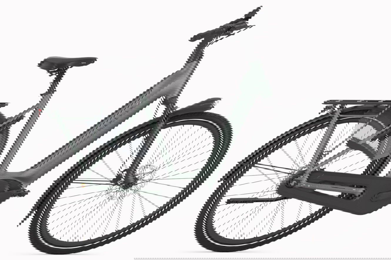 Gazelle Arroyo C8+ Elite 600 RT Low-Step twilight green, 53 cm | M | (28")