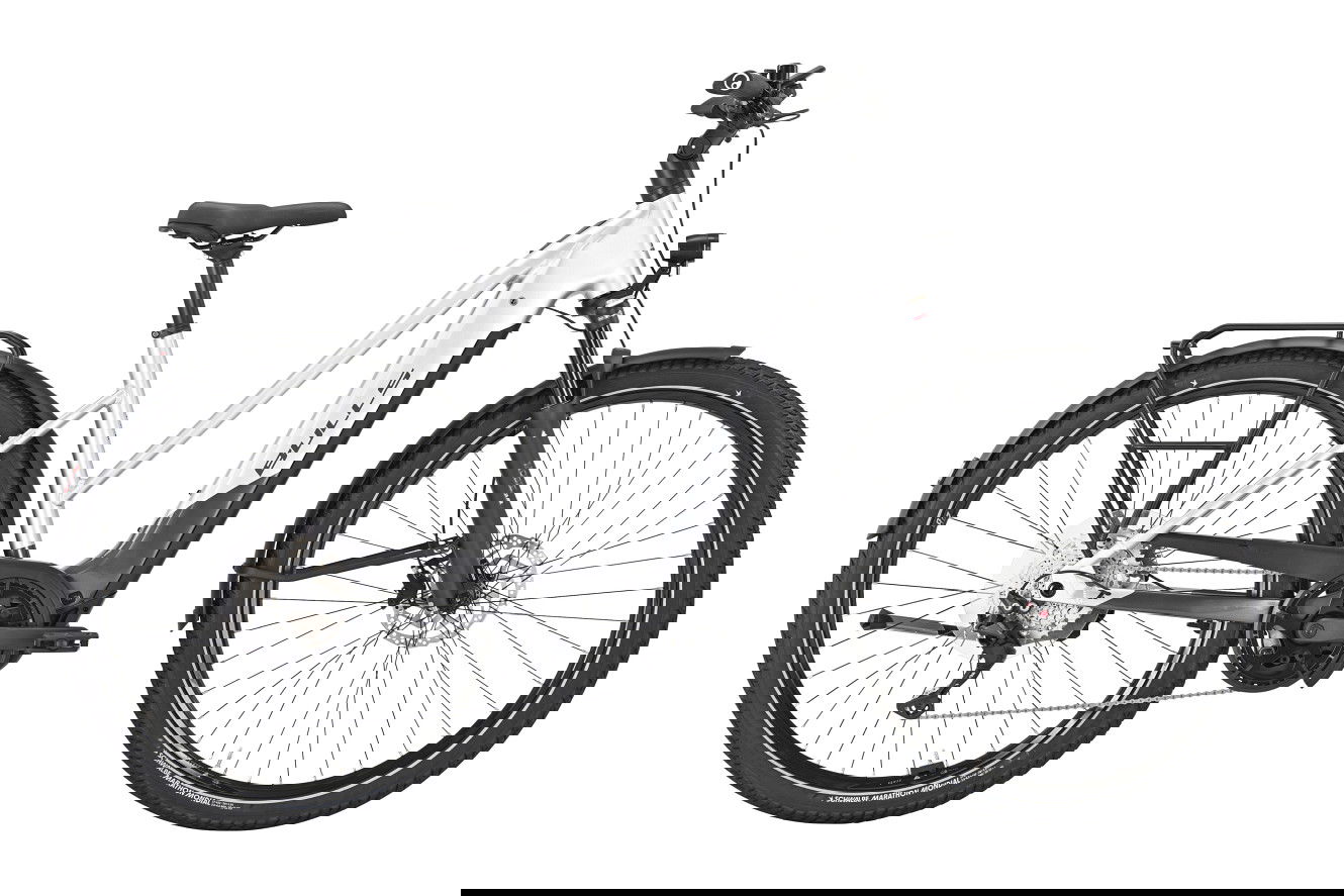 Bulls CROSS LITE EVO 1 800 Trapez arctic silver, S | (29")