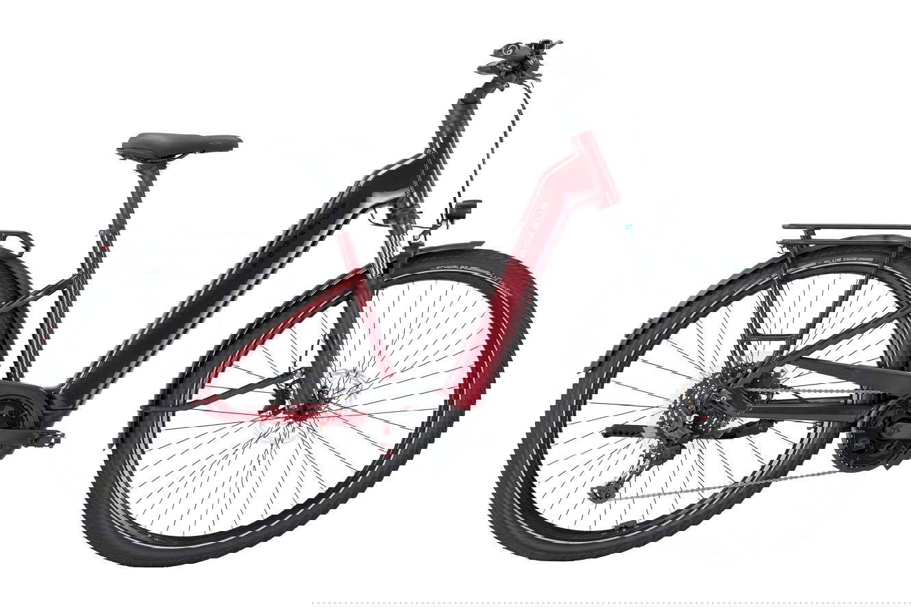 Pegasus STRONG EVO 10 Lite 800 Wave fire red, S | (28")