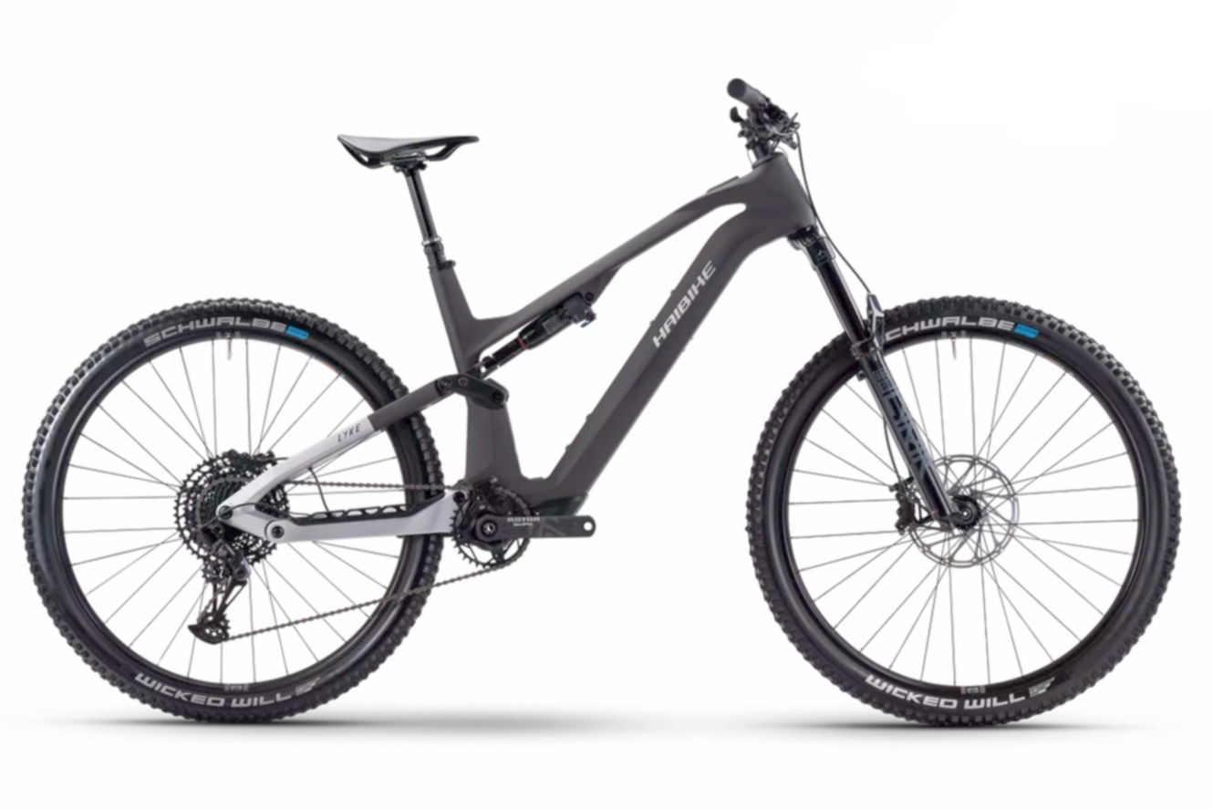 Haibike LYKE CF 10 High carbon/silver matt, 47 cm | L | (29")