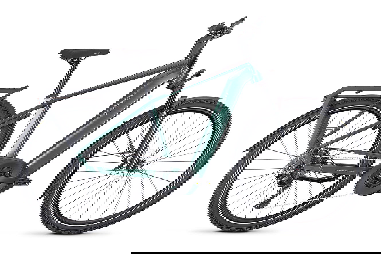 Kalkhoff ENDEAVOUR 5+ ADVANCE Diamant techgreen / diamondblack glossy, 53 cm | L | (29")