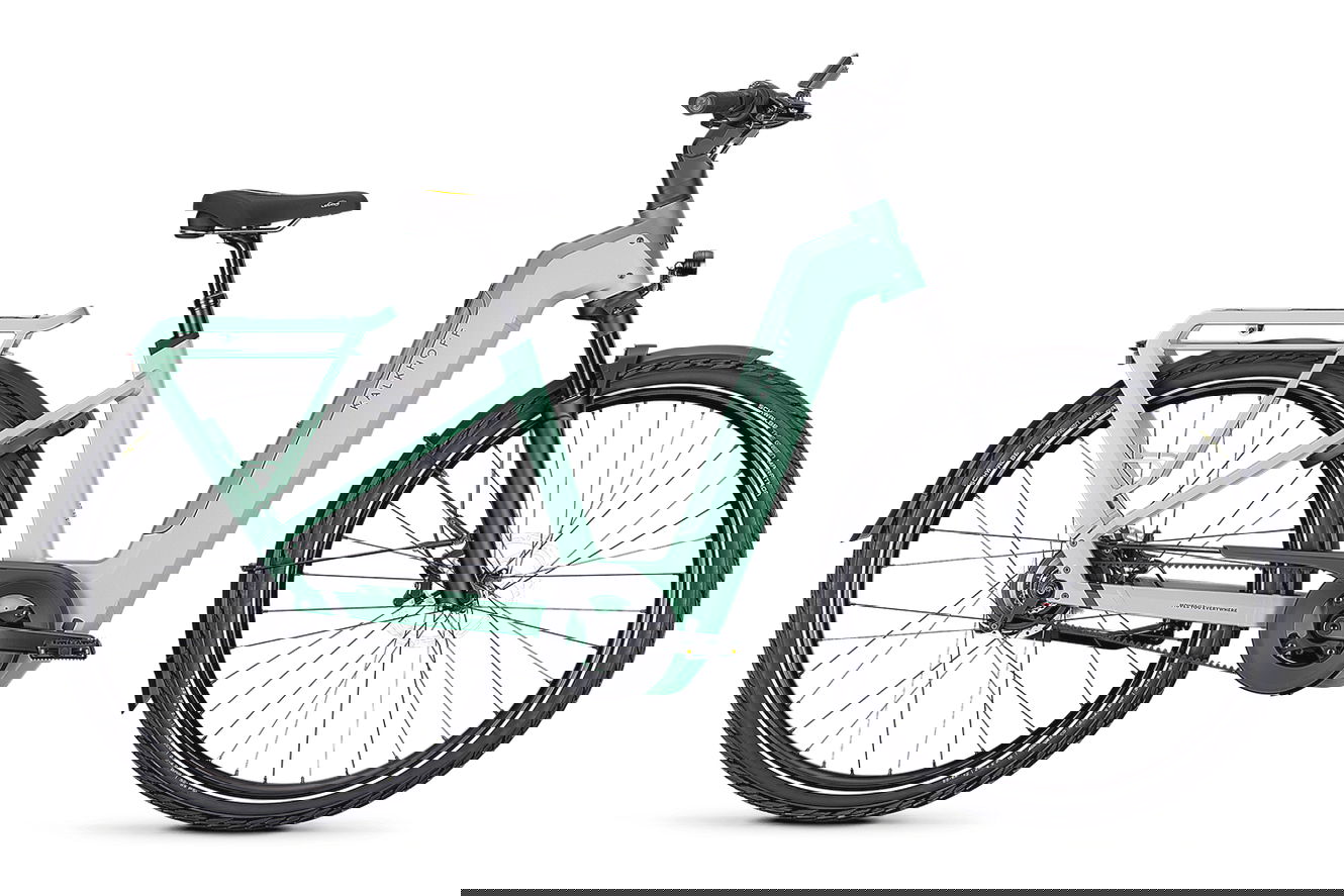 Kalkhoff IMAGE 5+ ADVANCE Wave sagegreen / deepsage matt, 43 cm | S | (29")