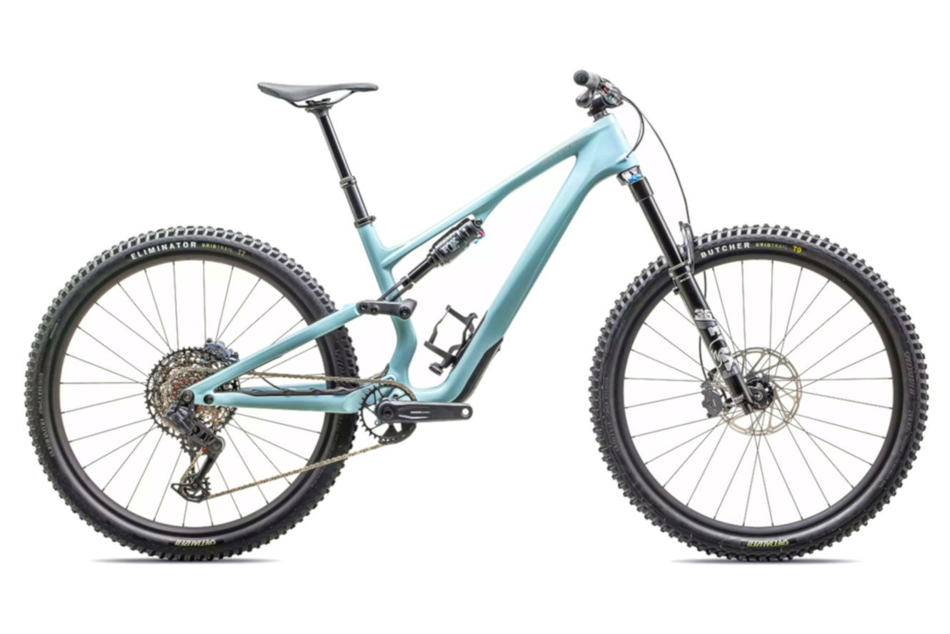 Specialized Stumpjumper 15 Comp Diamant gloss seafoam / silver dust, S4 | (29")
