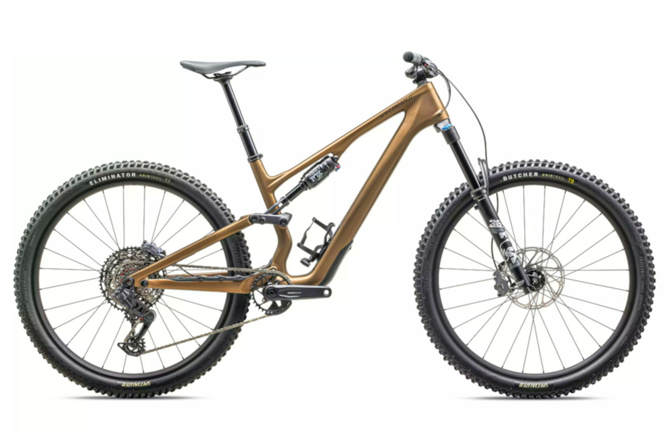Specialized Stumpjumper 15 Comp Diamant satin burnt gold / gunmetal, S3 | (29")