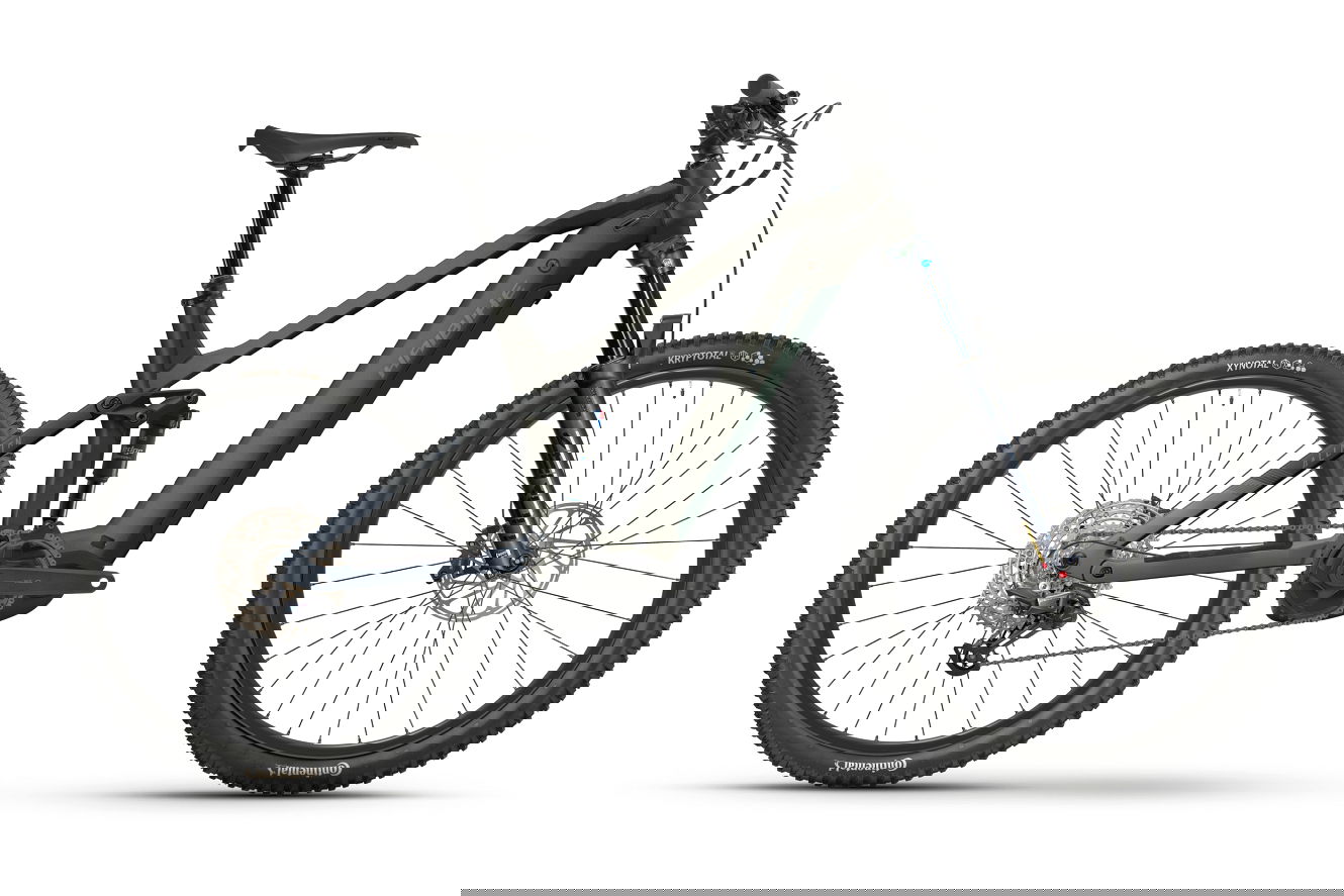 Haibike ALLMTN 2 High black, 49 cm | XL | (29/27,5")