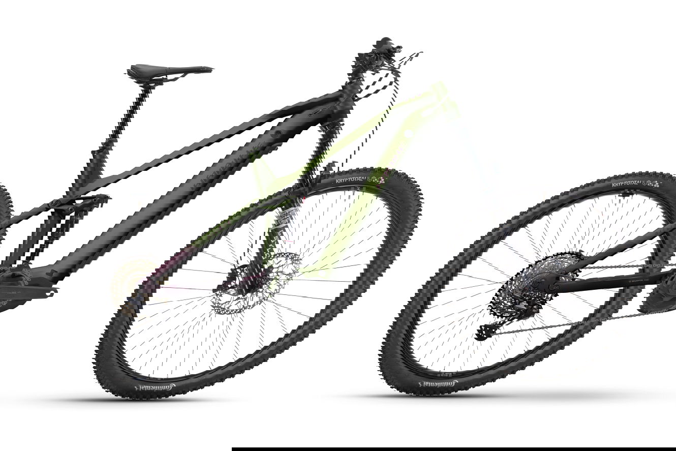 Haibike ALLMTN 6 High swamp/midnight plum matt, 47 cm | L | (29/27,5")