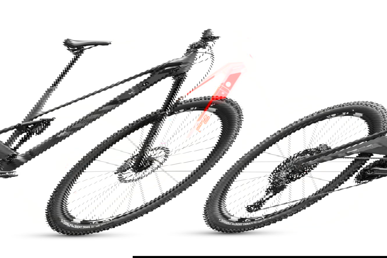 ROTWILD R.EX PRO Diamant bloodfin red, M | (29/27,5")