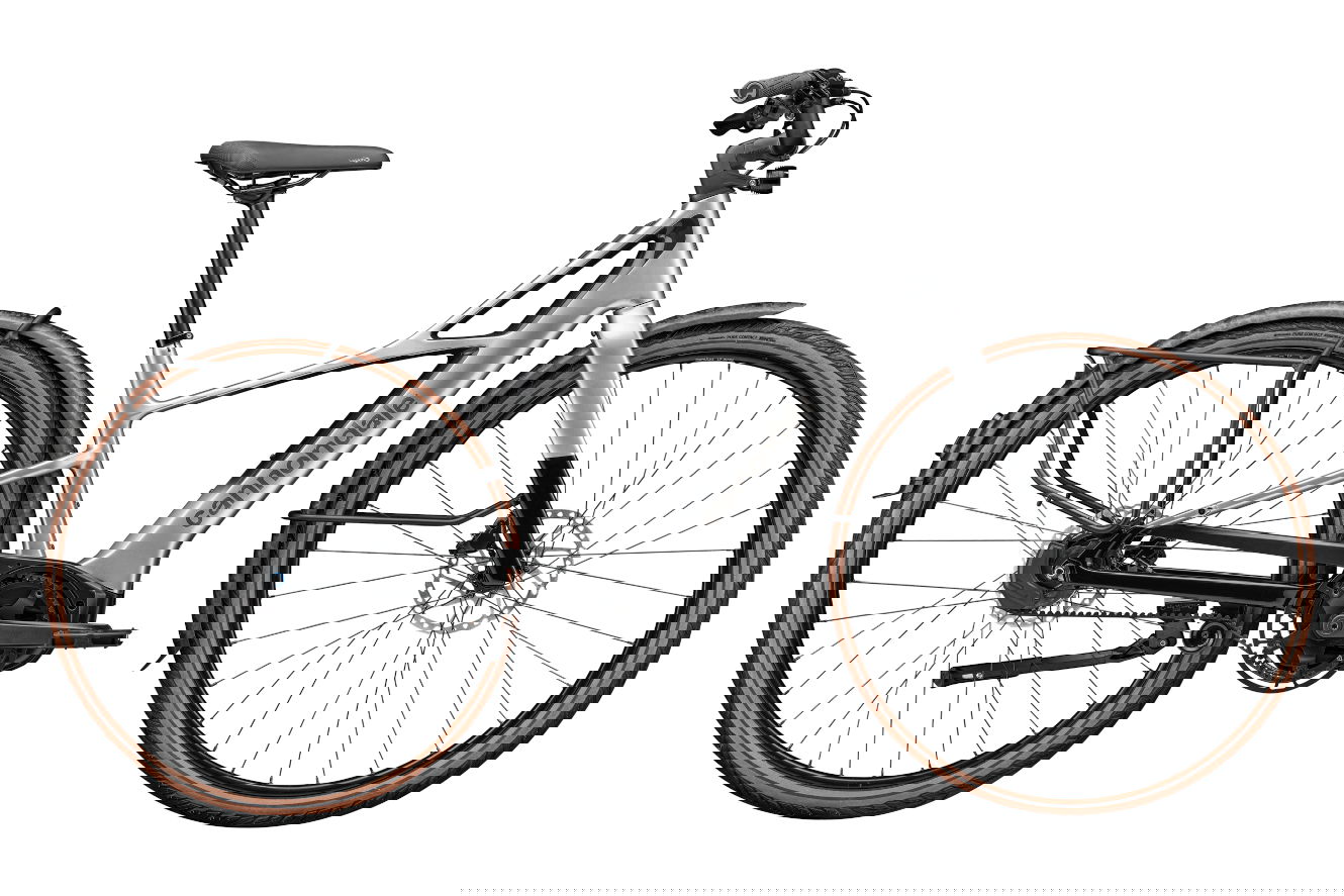 Cannondale FlyingV 1 Diamant silver, LG | (28")