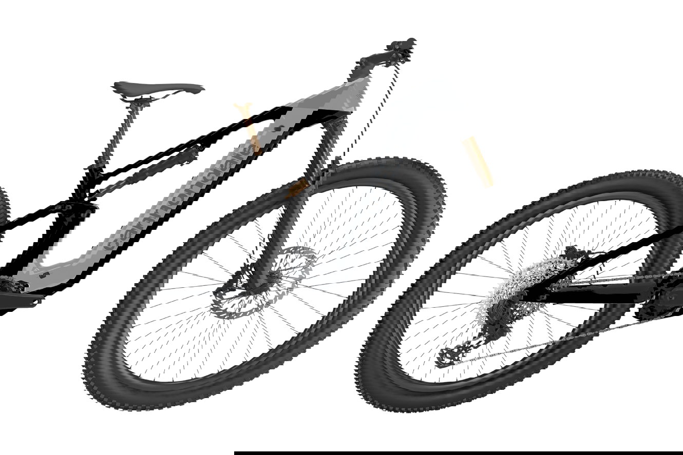 Cannondale Moterra 1 Diamant tiger shark, LG | (29")