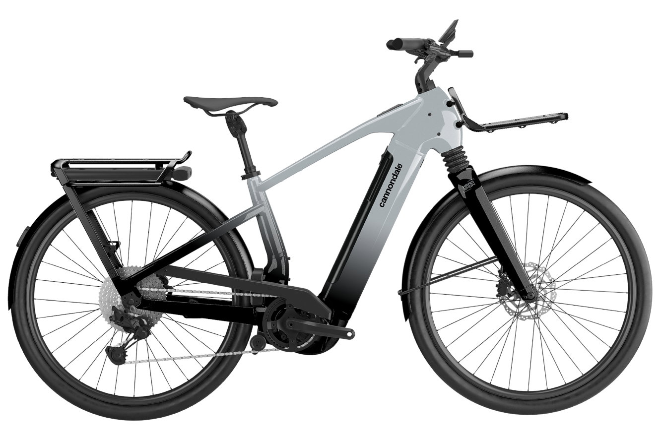 Cannondale Tesoro Automatiq HS Diamant silver, MD | (29/27,5")