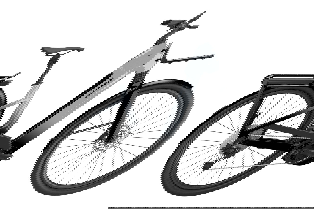 Cannondale Tesoro Automatiq Low StepThru HS Wave silver, SM | (29/27,5")