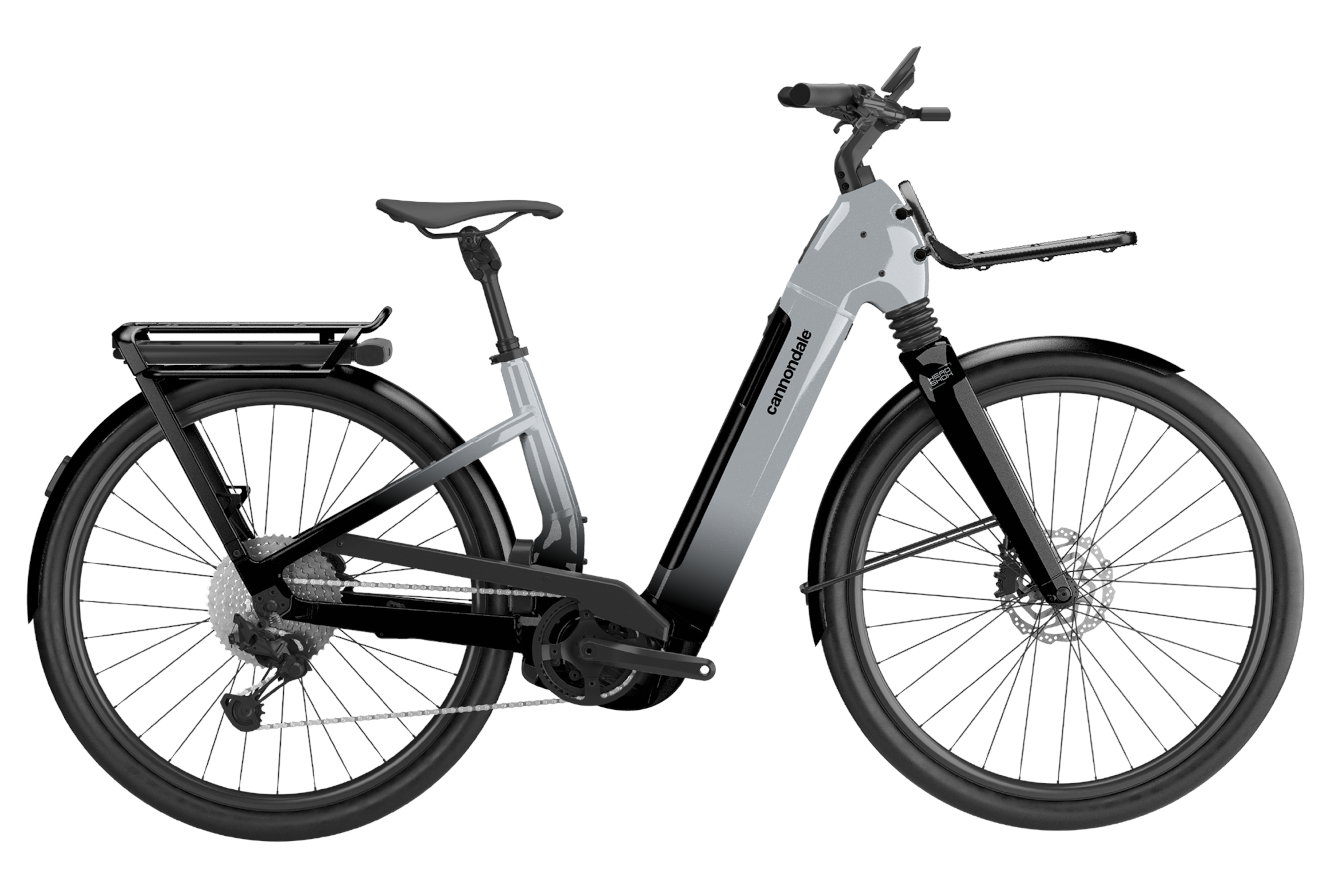 Cannondale Tesoro Automatiq Low StepThru HS Wave silver, XL | (29/27,5")