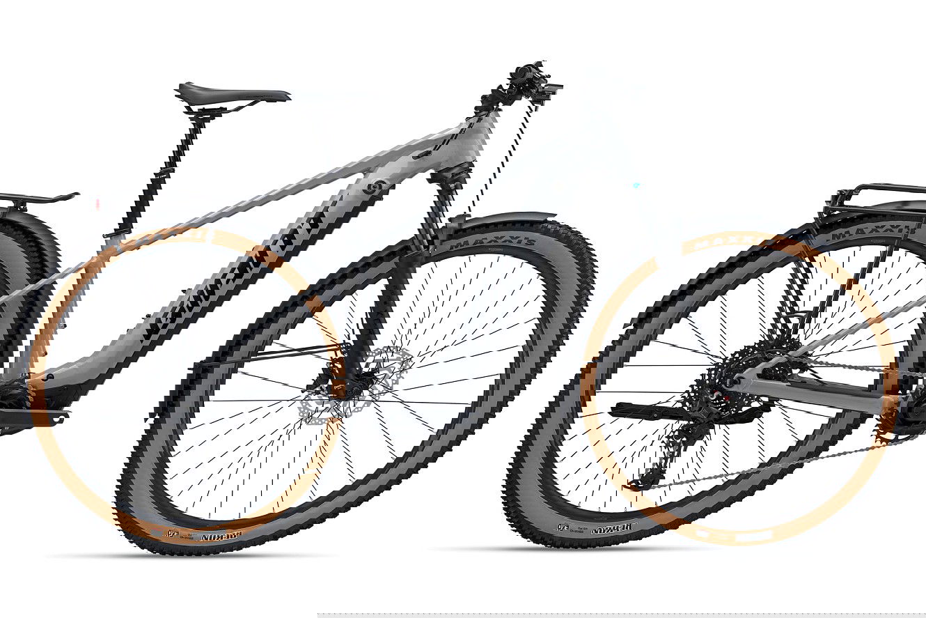 GIANT Fathom E+ EX Diamant good grey, XL | (29")