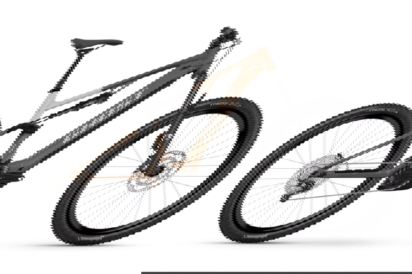 Ghost E-ASX ABS High coffee tropic rose/coffee arctic dust - glossy, 43 cm | M | (29/27,5")