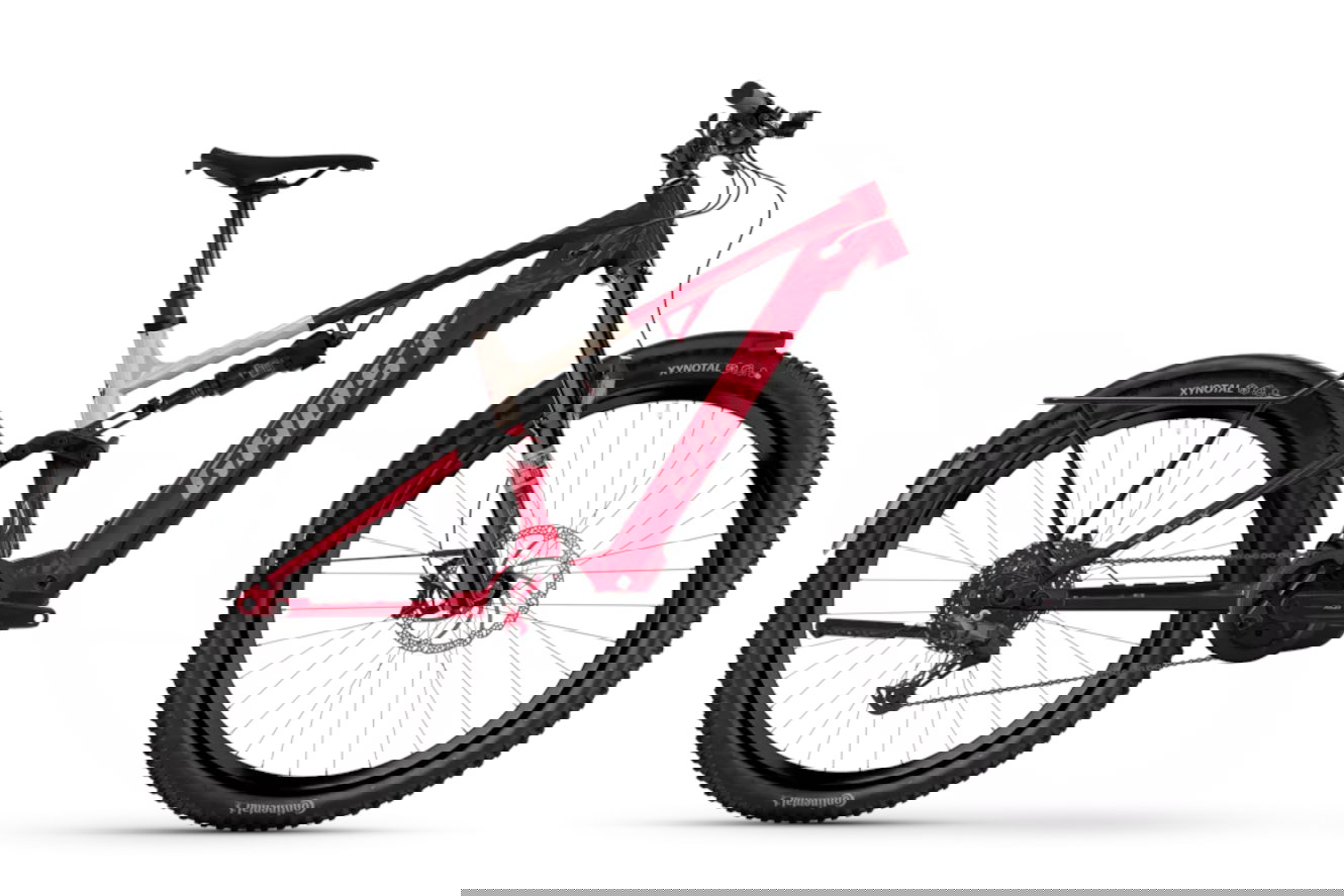 Ghost E-ASX ESSENTIAL EQ High rebel red/pebble glänzend, 45 cm | L | (29/27,5")