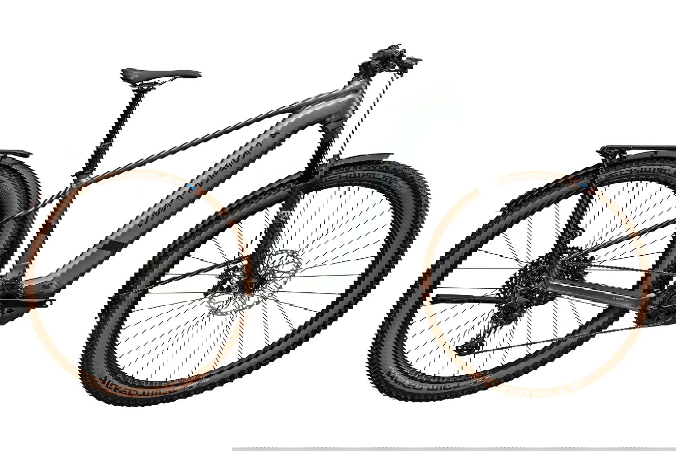 Centurion Backfire R2000 EQ Diamant schiefer matt, 42 cm | M | (29")