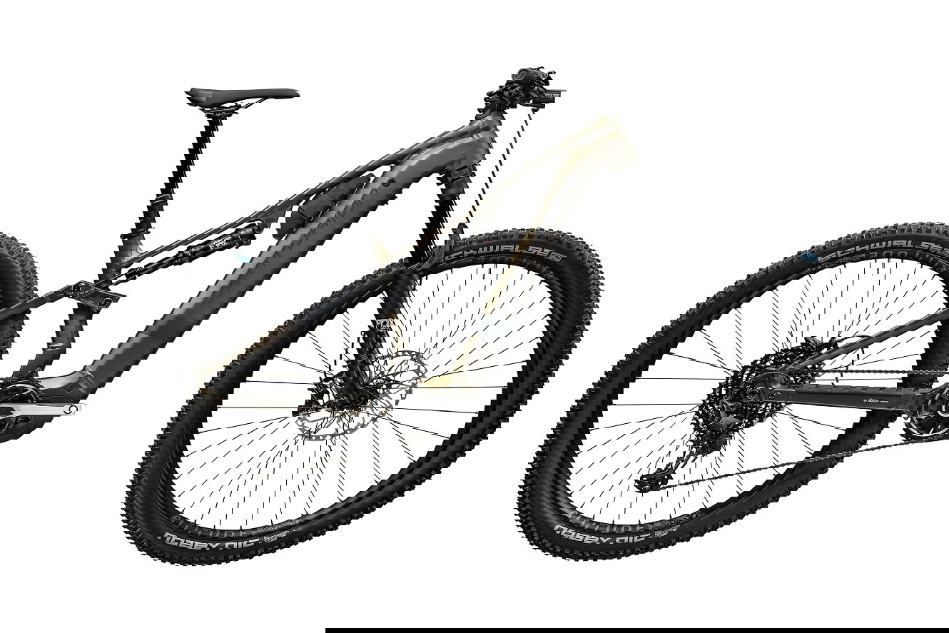 Centurion Numinis R2000 Diamant kristallgrau satin, 44 cm | L | (29")