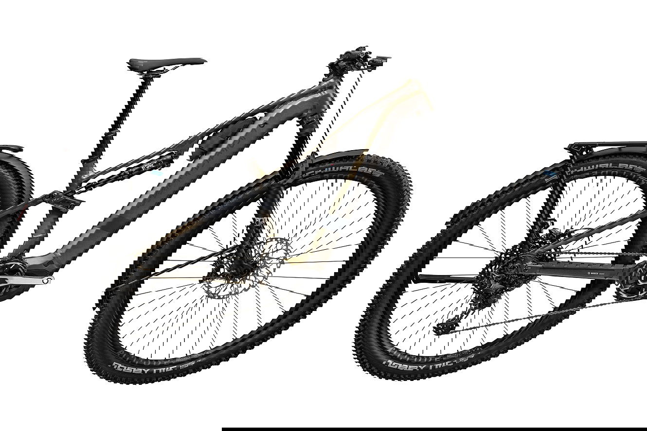 Centurion Numinis R2000 EQ Diamant kristallgrau satin, 38 cm | S | (29")