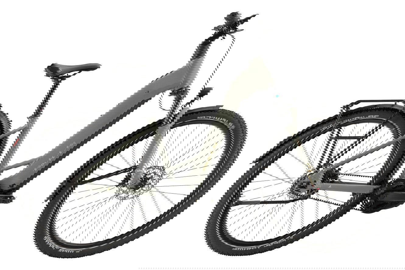 Bulls ICONIC EVO BELT 800 Wave dark thyme-matt, L | (29")