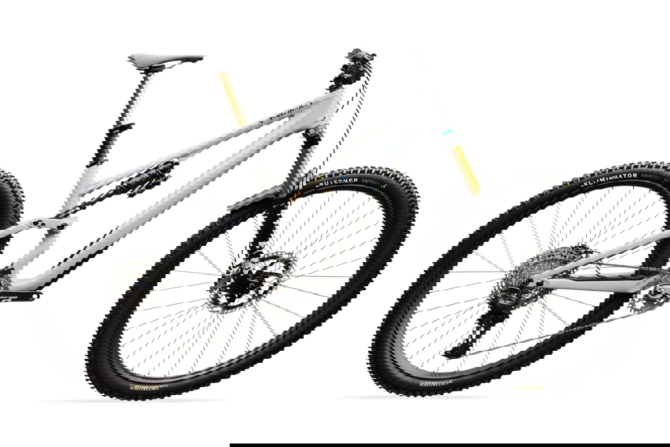 Specialized S-Works Stumpjumper 15 EVO Diamant gloss dolomite metallic, S4 | (29")