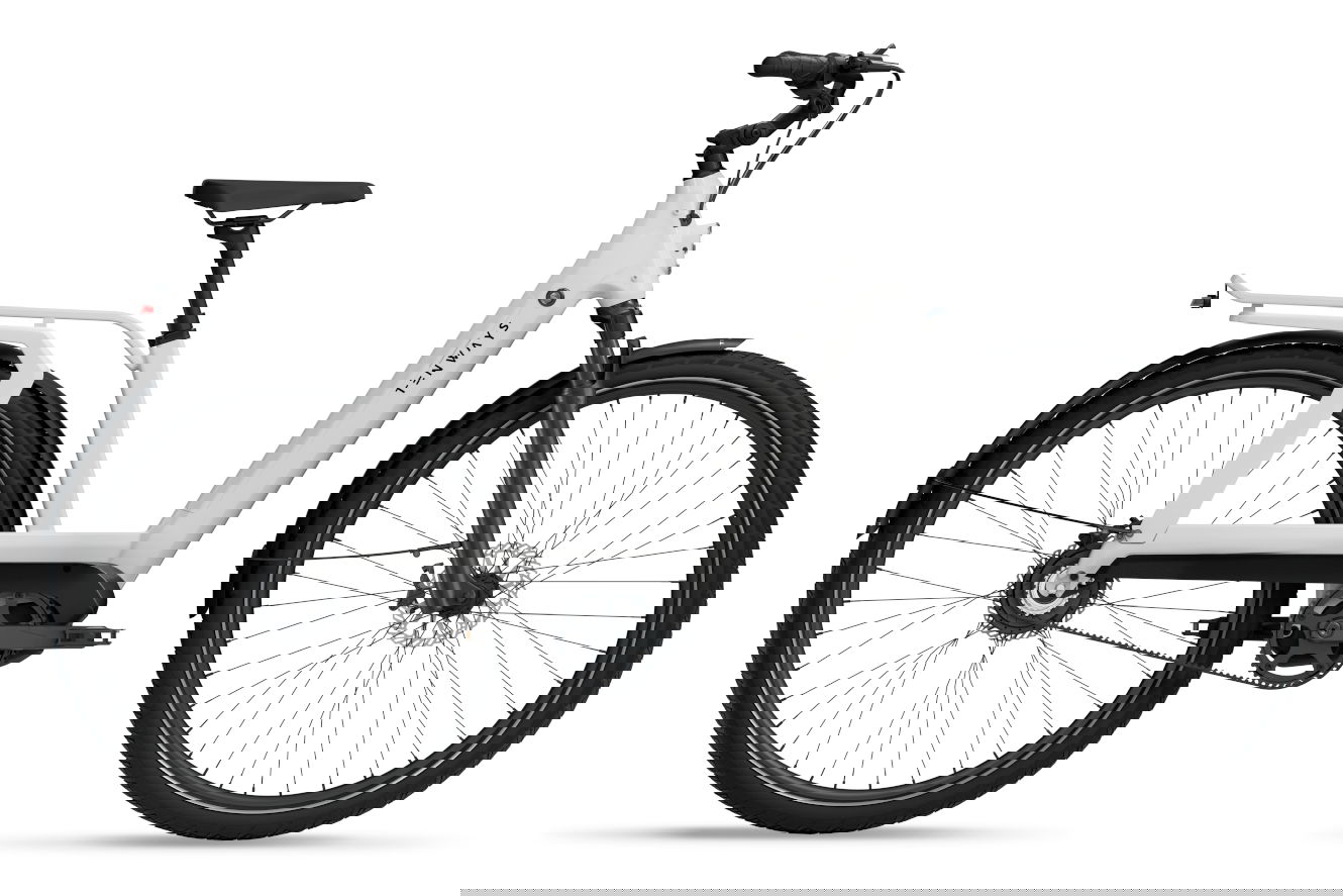 TENWAYS AGO-T Diamant pearl white, 48 cm | (29")