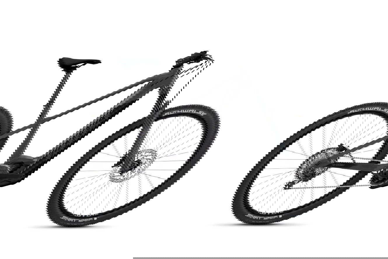 Ghost E-Teru B Pro Diamant dark grey/black - glossy/matt, 29" - L